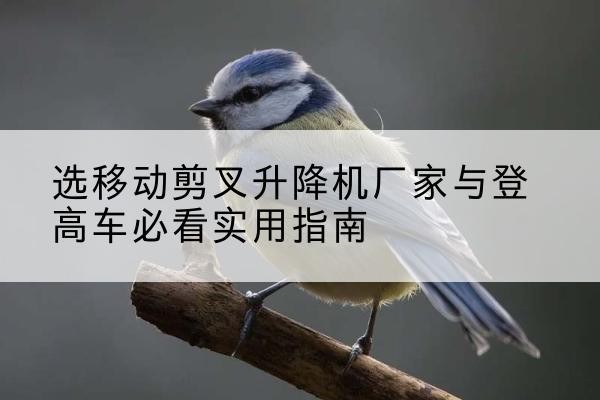 修武电动升降机厂家-选移动剪叉升降机厂家与登高车必看实用指南