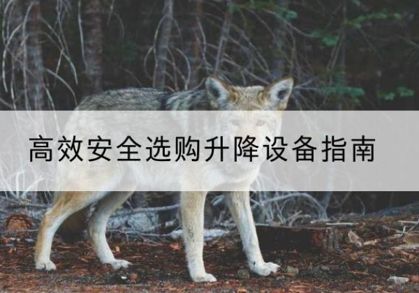 修武升降货梯厂家推荐-*安全选购升降设备指南