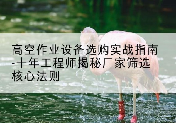 修武剪叉式升降机厂家-高空作业设备选购实战指南-十年工程师揭秘厂家筛选核心法则